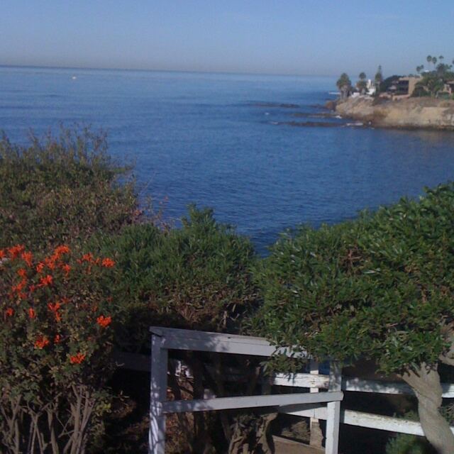 Bird Rock
